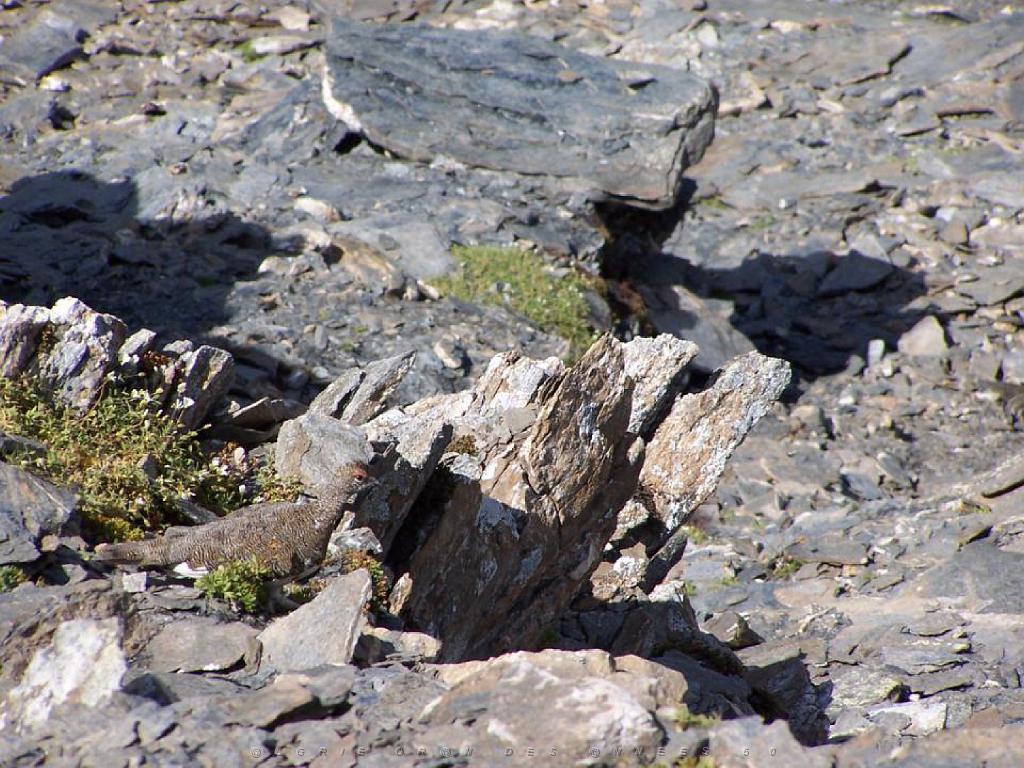 100 POUR CENT PUR HAUTES ALPES_000012.jpg